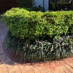 image02