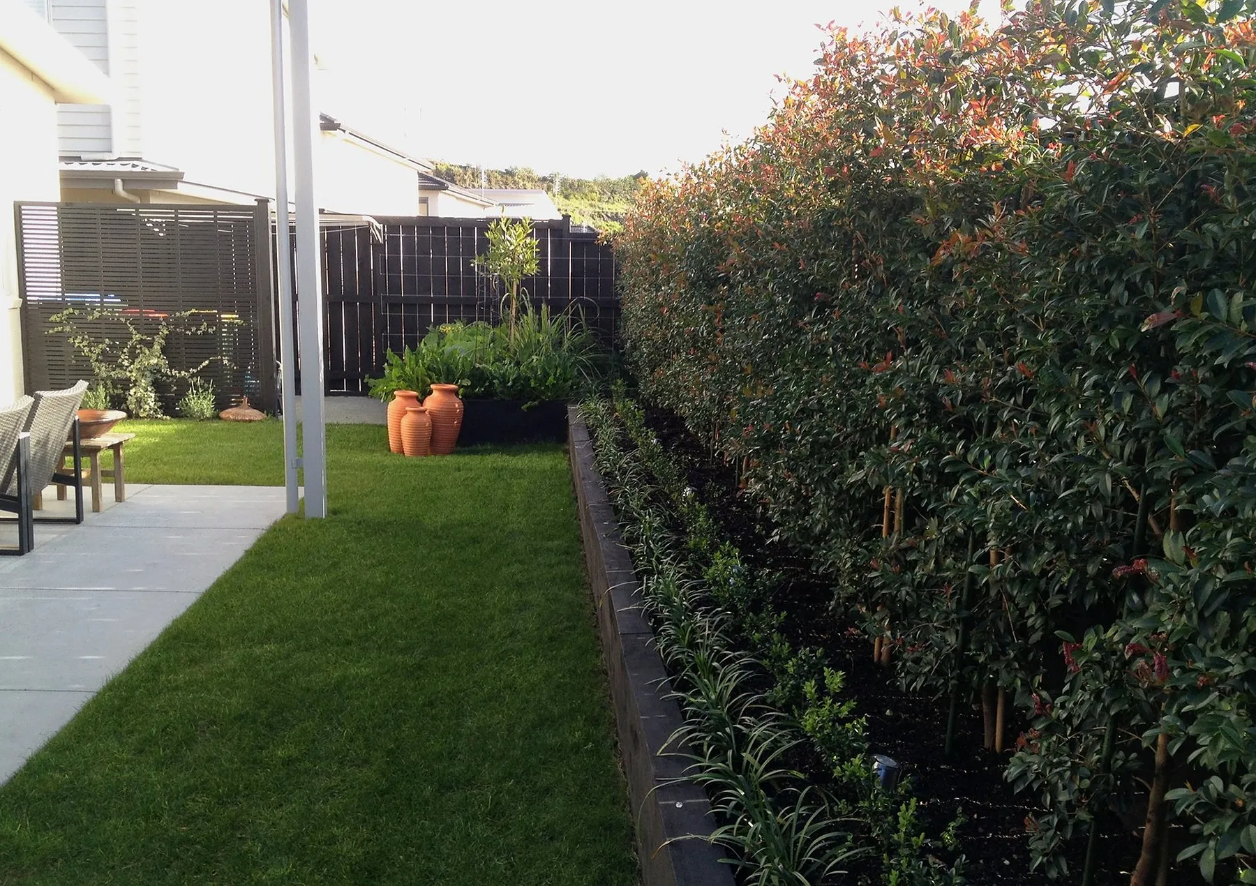 Lawn, screening hedge and a planted terrace