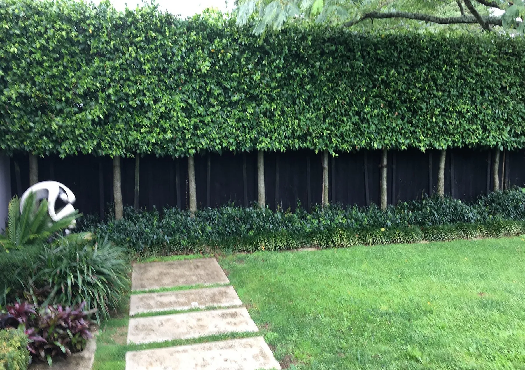 Lawn, paver stepping stones and a screening hedge