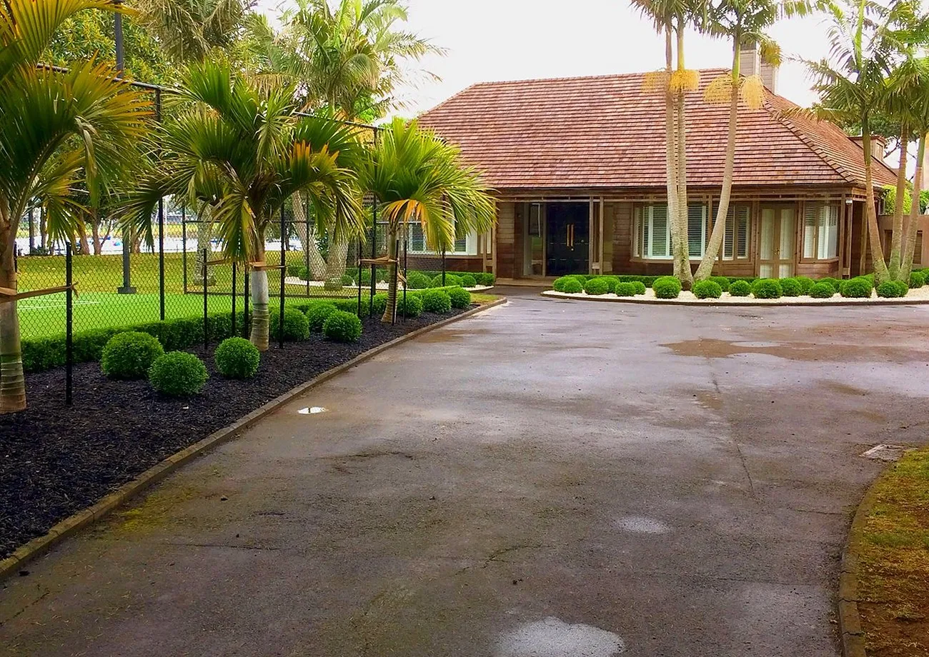 Estate driveway lined with palms and clipped topiary